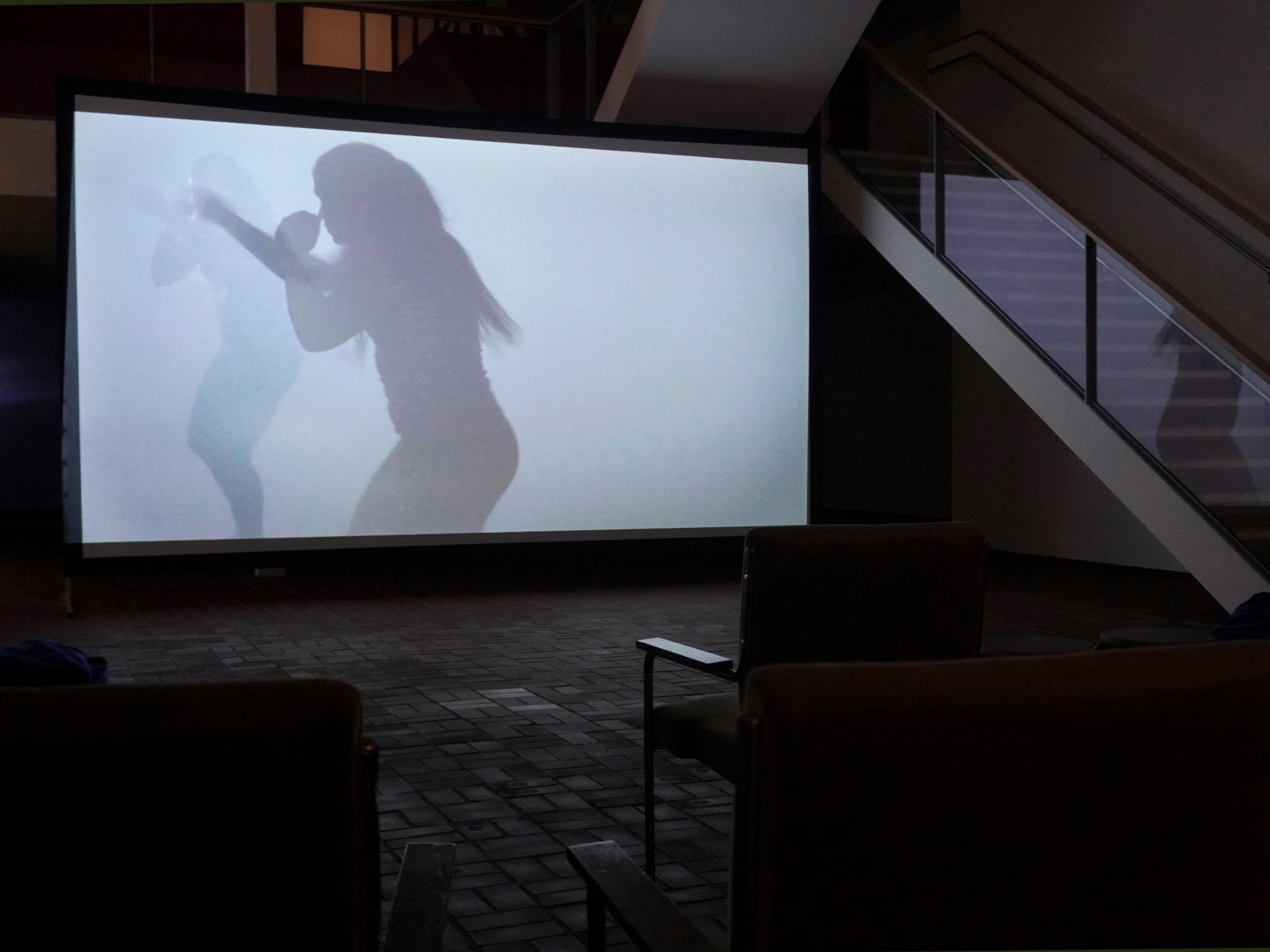 home video