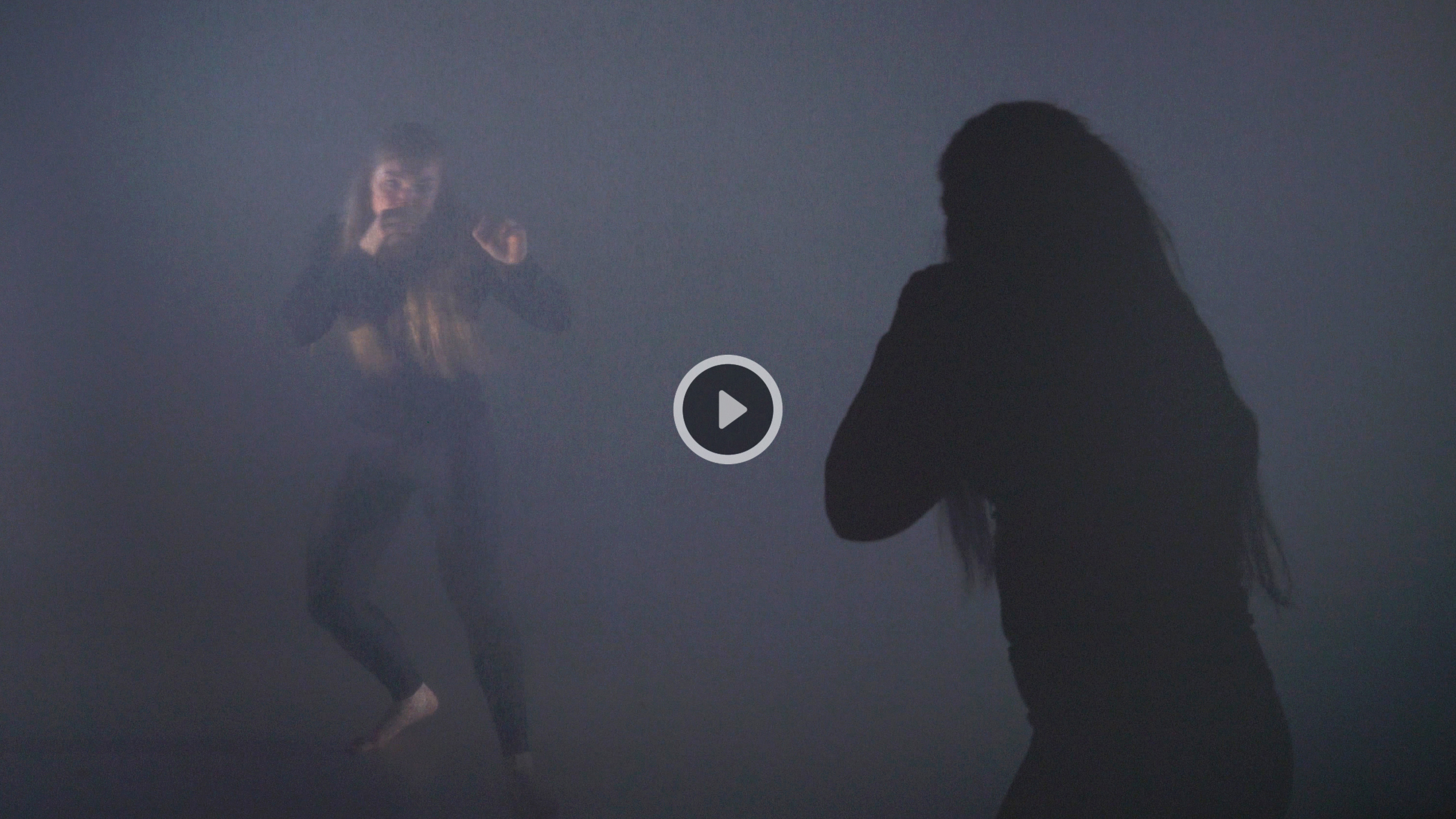 the fight