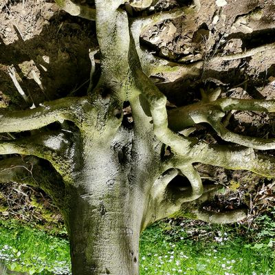 Hold 3