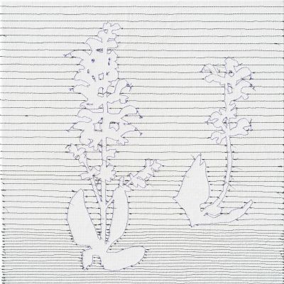last plant_5