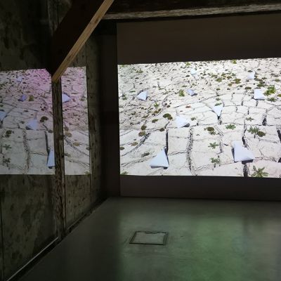 Exhibition View Jenaer Kunstverein 2021